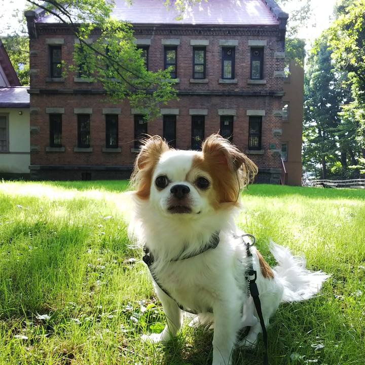 9895da21 2fec 4042 9443 bbf21fc705f7