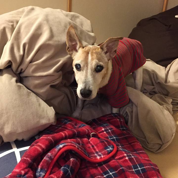 98968710 6457 4020 b1ec 3d9f77e57cdd