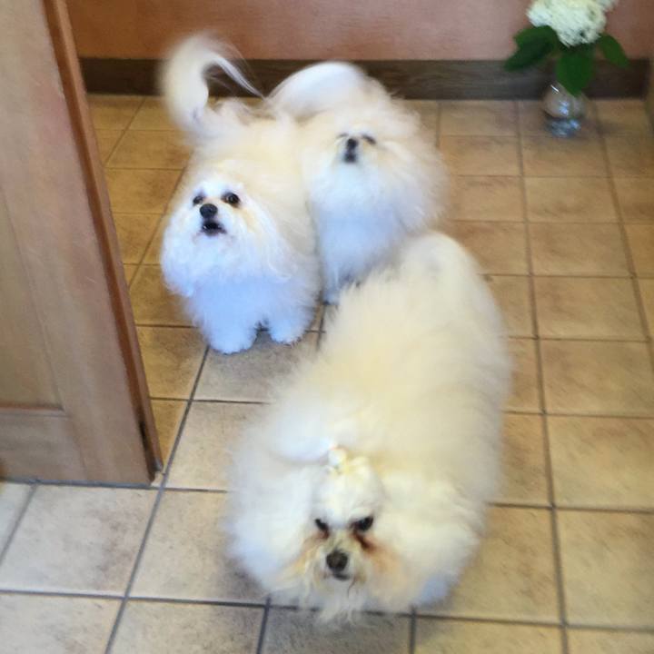 989698fd 985f 49ba a1cb 62bb327adefd