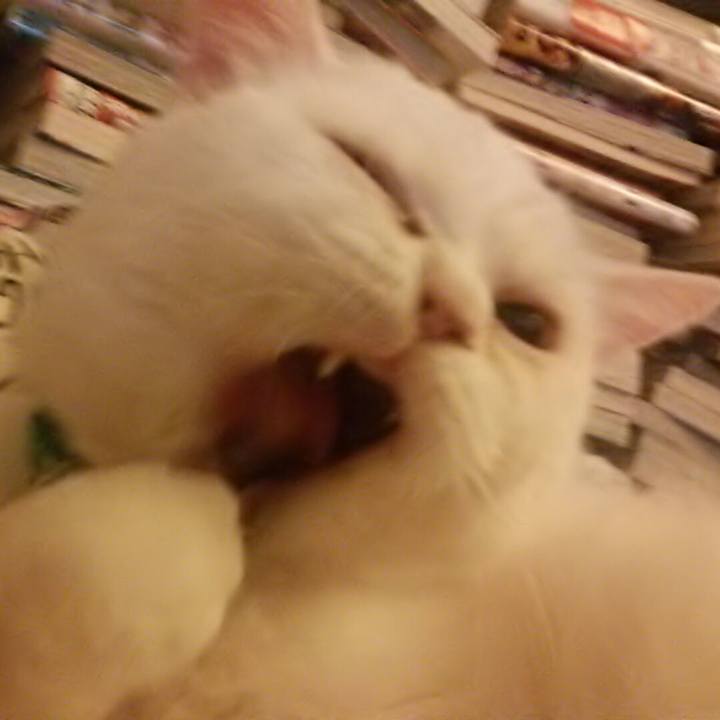 9896c24f d4b8 431c a599 6fec1cdccda4