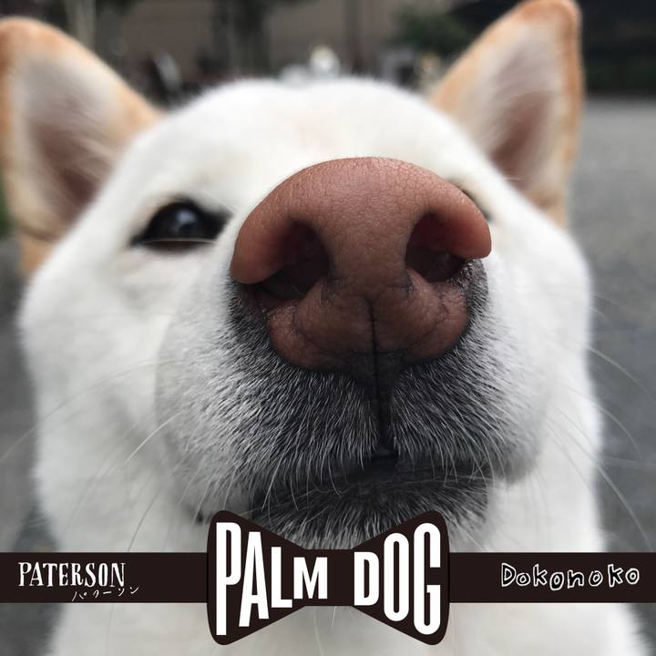 989757e3 dc09 4dfb 9dee bd014f60a7db