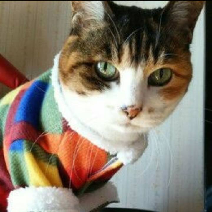 98977ab9 01af 4514 9fb8 ccb2444b0f80