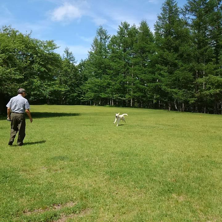 9897b4a2 4d9a 4098 af63 618f48c3f5b2