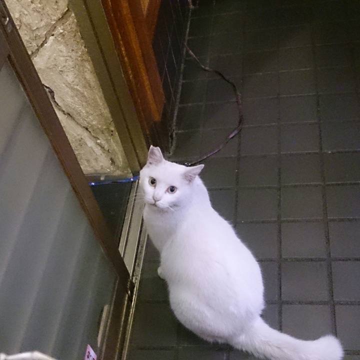 9897cd01 2ff5 4f01 9a21 ae307c85f4ce