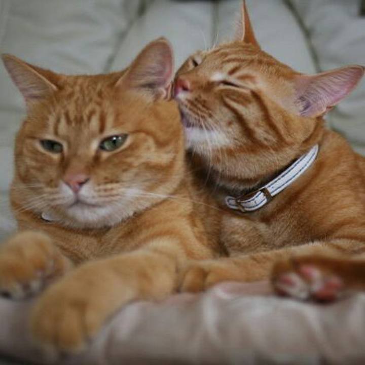 98988856 3ccb 4339 a022 57344d62ee2d