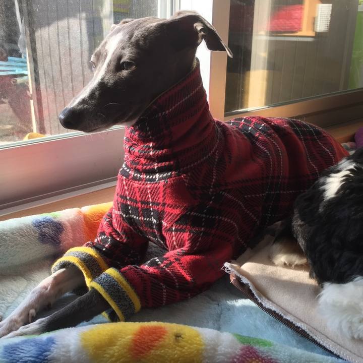 9898afa9 94d0 4348 8cae c53333b8c197