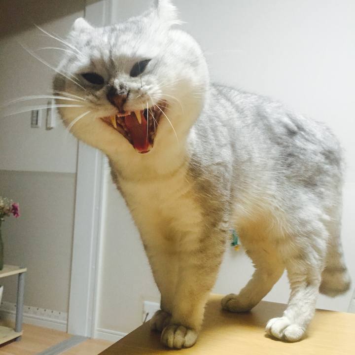 9898ecd0 3dfe 4876 8b1b 11d26bc9bef4