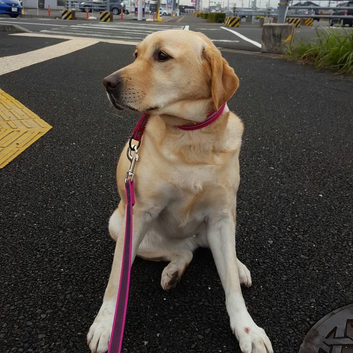 9899679f 5c34 4460 895b fff92139582a