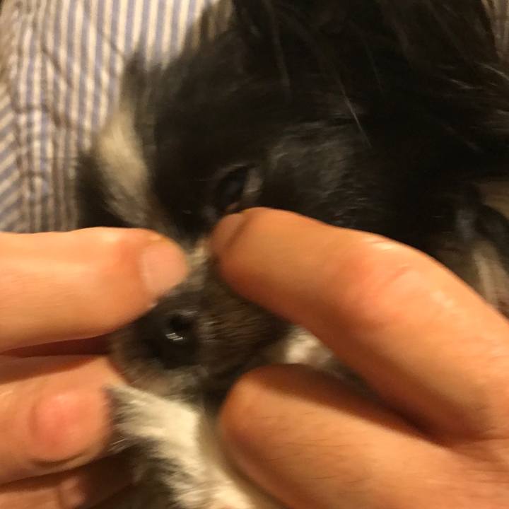 989a21b0 474d 4bcd ae24 e442c3ca973e