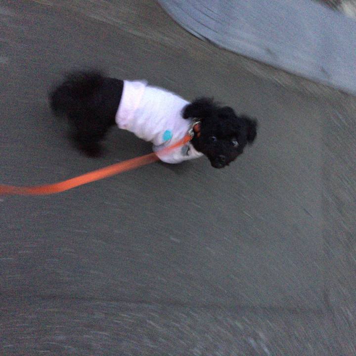 989a312f 4a08 470f aeb0 59051780721f