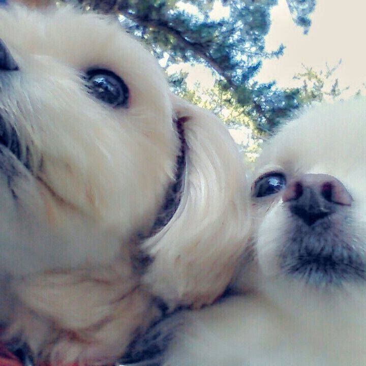 989a4b1c e968 4c5c 980c ff4f1951fe4e