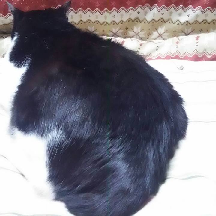 989a4cfe d4d8 468e a163 caf875941381