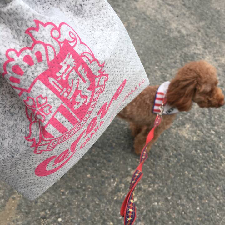 989af70e ecfd 475d 92e3 0fcd07deb912