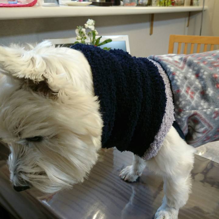 989b23e9 1884 4270 86ac bf025c07fbd1