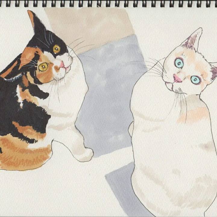 989c08ca 3548 46e1 ac91 19e79d0d5a34