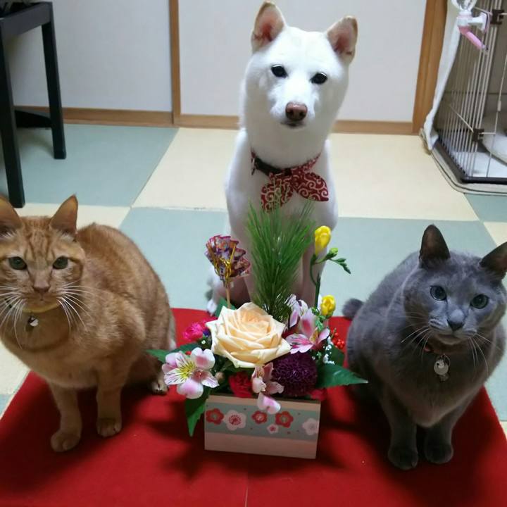 989c266f 58da 4357 ac79 121b8d20e102