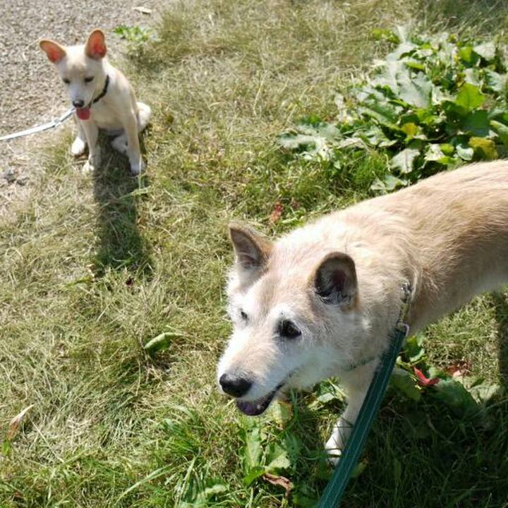 989c3f58 7406 4fce b358 8e28a4bc44e5