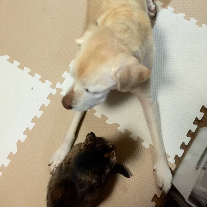 989c949d eb0c 45af a7e1 998146b5e62a