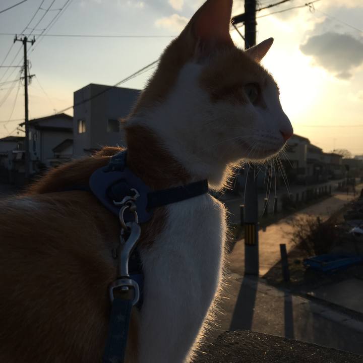 989cfba5 75f1 4f79 a76a b9aef60f4231