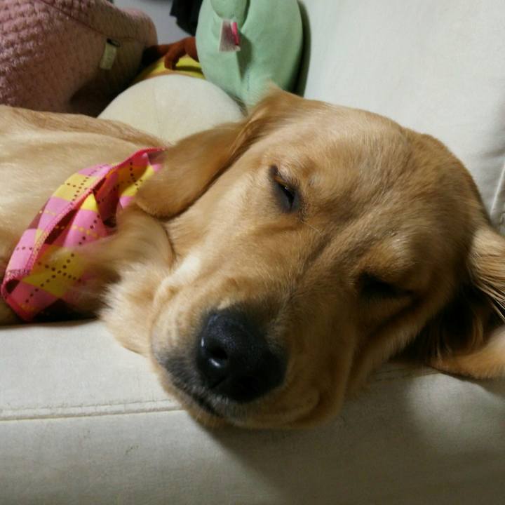 989dc2e9 cbae 4cd3 a093 0a27fb2646fa