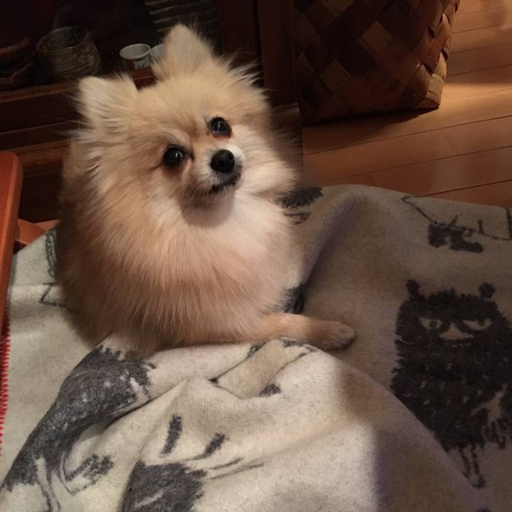 989e64ba 0aa0 4f7d 9500 9396745ff20f