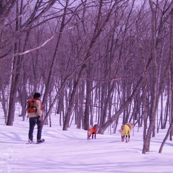 989e6e92 b0be 4704 ac92 4b6deccbb5e8