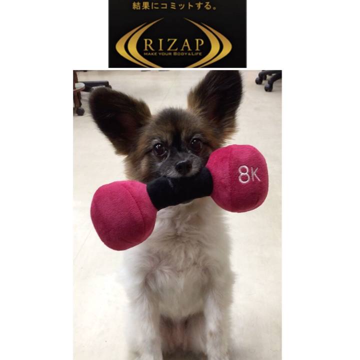 989ebd49 a630 4ffa a3b0 d7eb0c2d1f19