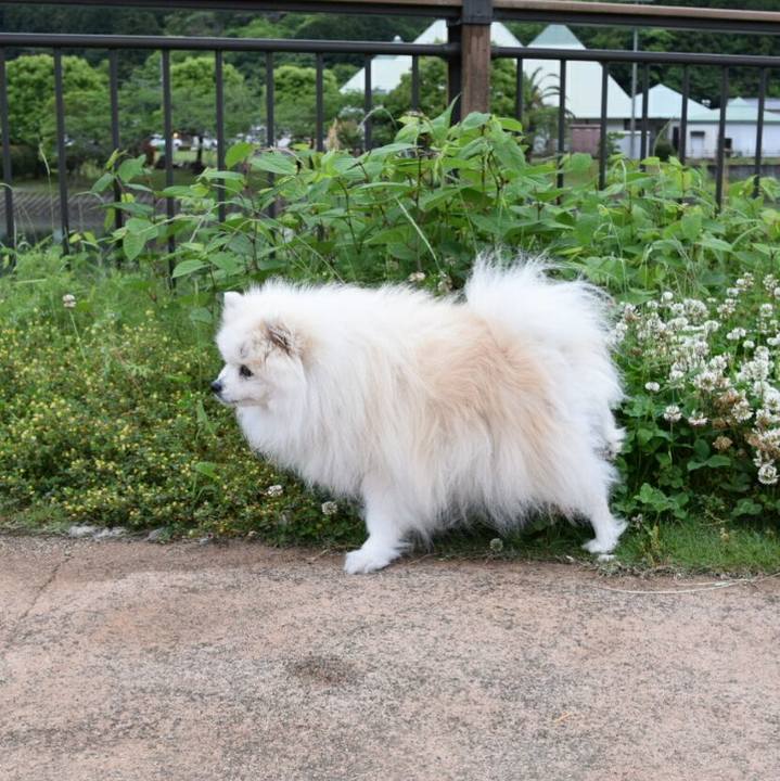 989f3352 0a68 4d60 bd50 0688d6eedb2e