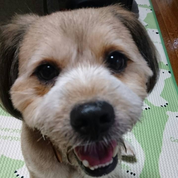 989f6f99 a72c 49c1 981a 8e0668b5a6bd