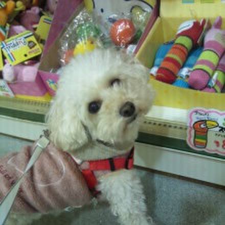 98a03a99 cf0d 4383 8401 61079ea2ffa6