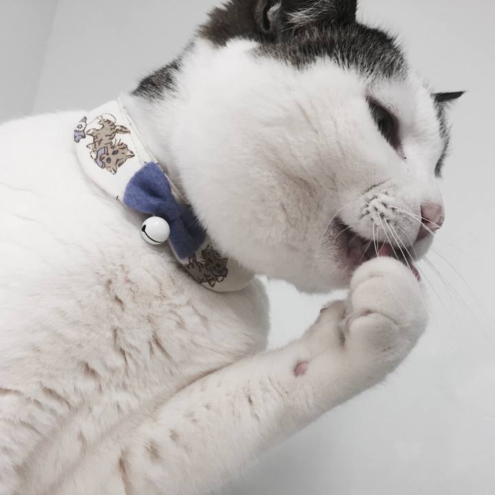 98a07d5b a117 4791 be3a 27c102563e1b