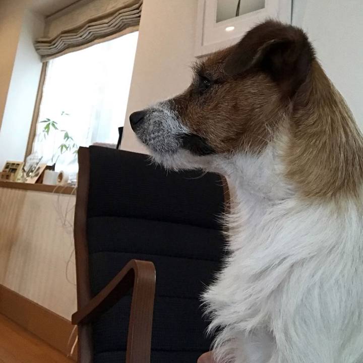 98a0a061 8199 4e4e a91f 7c5f0441f013