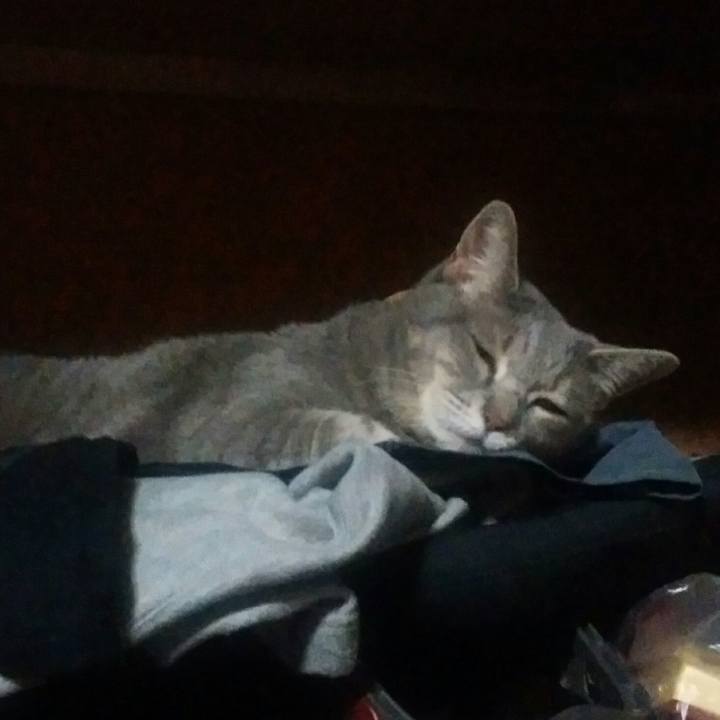 98a1fcbd 9cd3 42df 991c f37b58f9583f