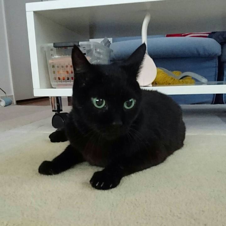 98a4715b 2f92 410e 8d64 8cc6206098a4