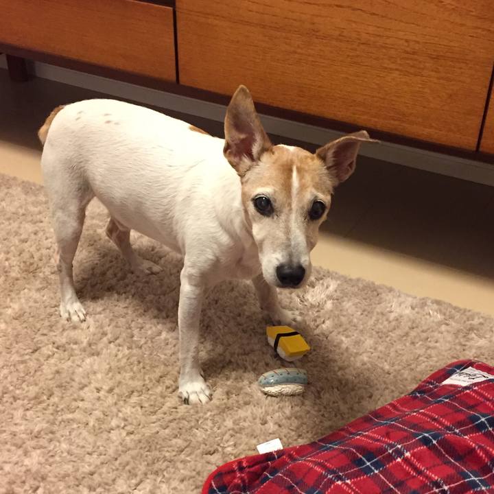 98a6f378 7c9c 4a1e a451 4035f205c465