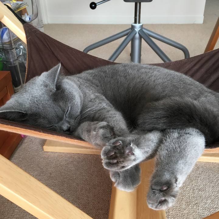 98a724c6 8ff0 419c af50 81a676299336