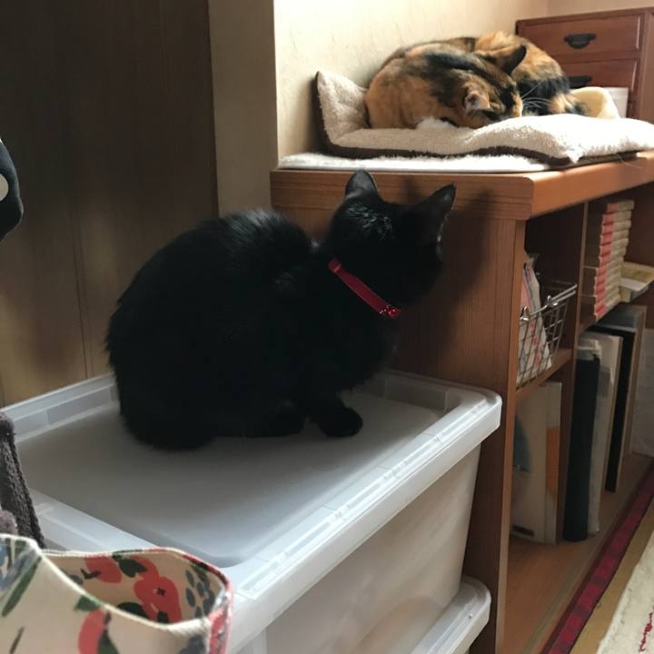 98a768d6 c0bd 440d b1cf 6421e1fb2878