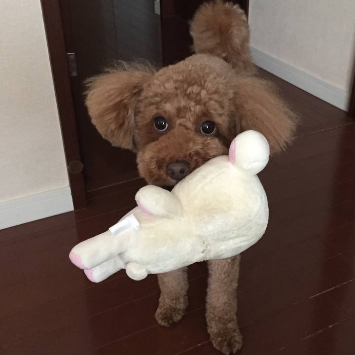 98a76c62 0fab 4635 8809 c3a455ca690b