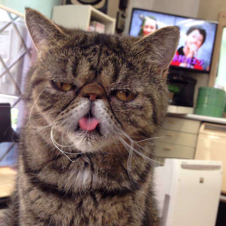 98a78429 dd9d 427c 82c4 5d7179e50bb4