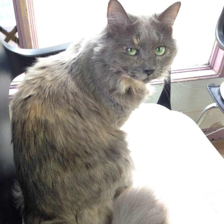 98a7db6c 8f63 4534 b36b 3164ddbbee60