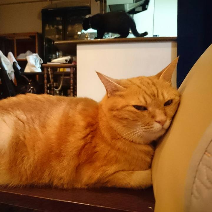 98a7ebaf bc10 4035 8d9f 4d2a02fe374b