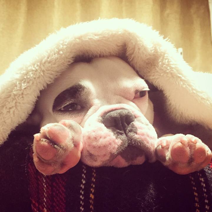 98a86df2 ae05 42ef 92eb 43587b145f84