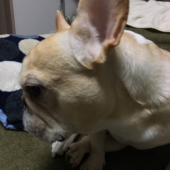 98a94516 318b 4347 a554 5729a4037f88