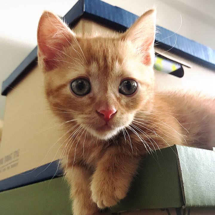 98aa7c4d 6810 49e6 83fa c87d85f9a482