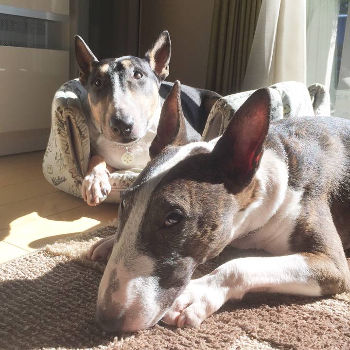 98aaf059 7010 4b7c b107 da946936aa83