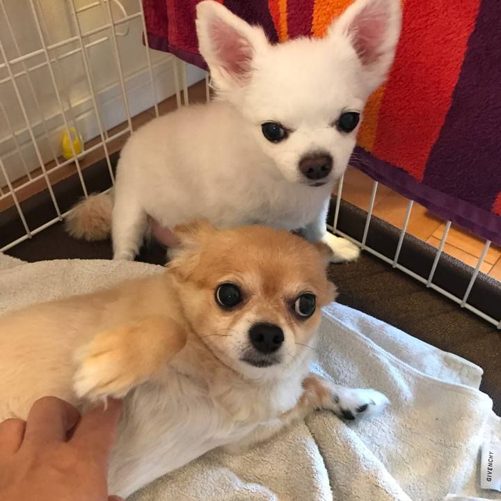 98abd537 666c 4d50 bb1d 3d4b02c90b02