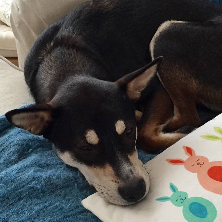 98ad8aa8 28a5 4da3 a561 032b65909a00