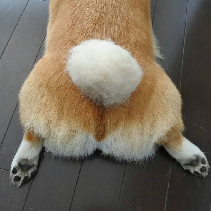 98ae13f2 af80 48c6 ab12 aa4fca399a98