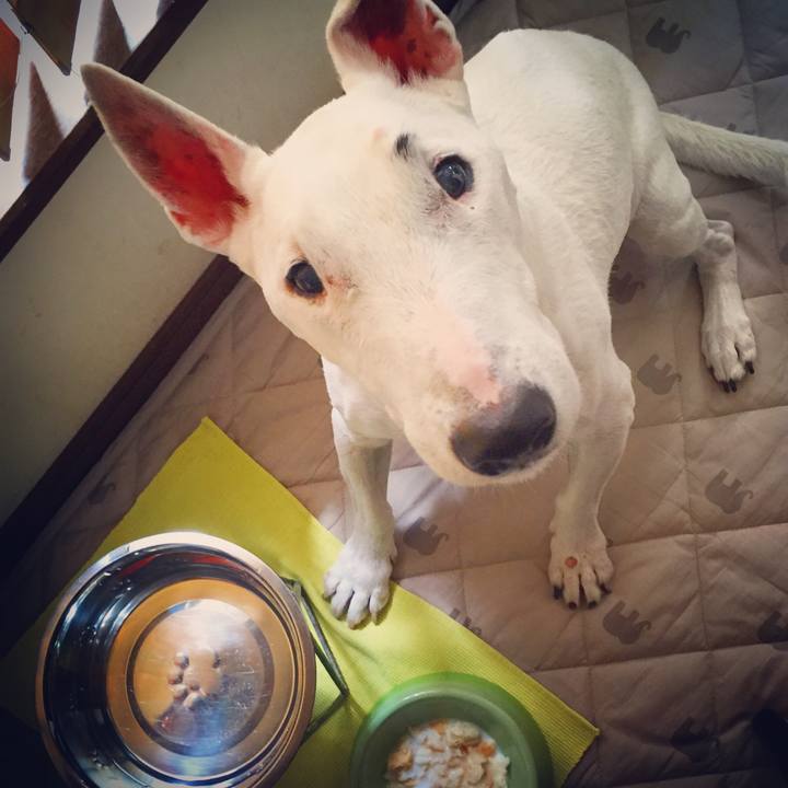 98ae6f98 dd9c 43a0 a035 7e6cd09afd32