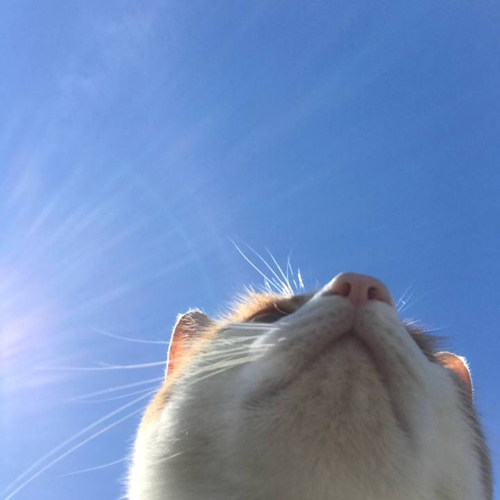 98aebb31 3098 437c a289 78f0a1b43e7b